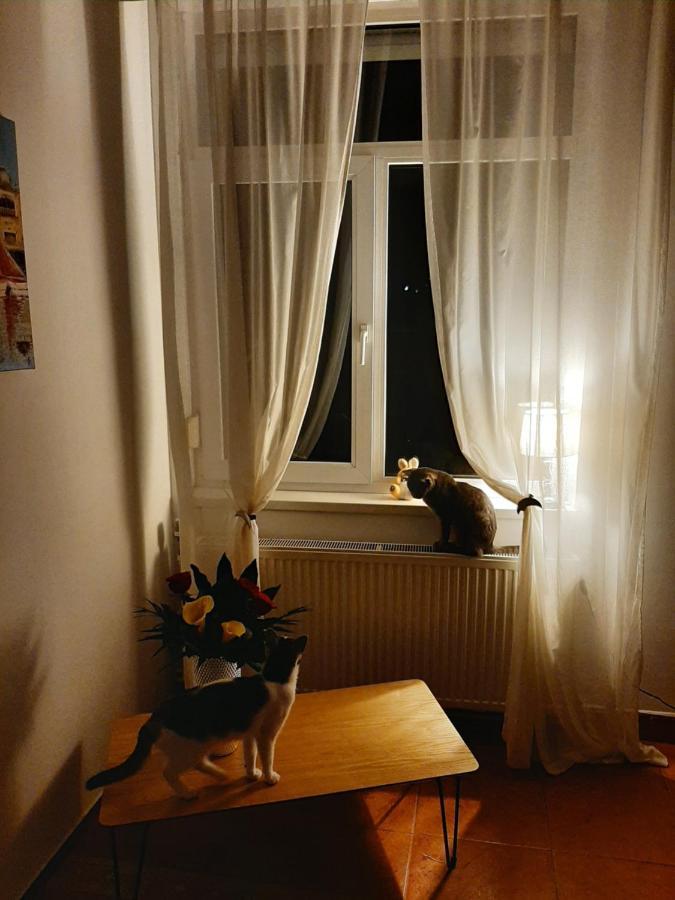 Piccola Italia Casa Racovita Kluž Exteriér fotografie